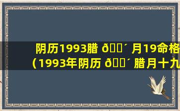 阴历1993腊 🌴 月19命格（1993年阴历 🐴 腊月十九是什么星座）